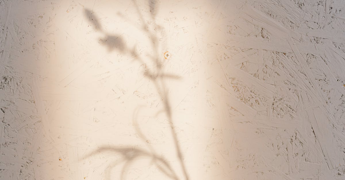 Exterior Painting Arbour Lake, Calgary