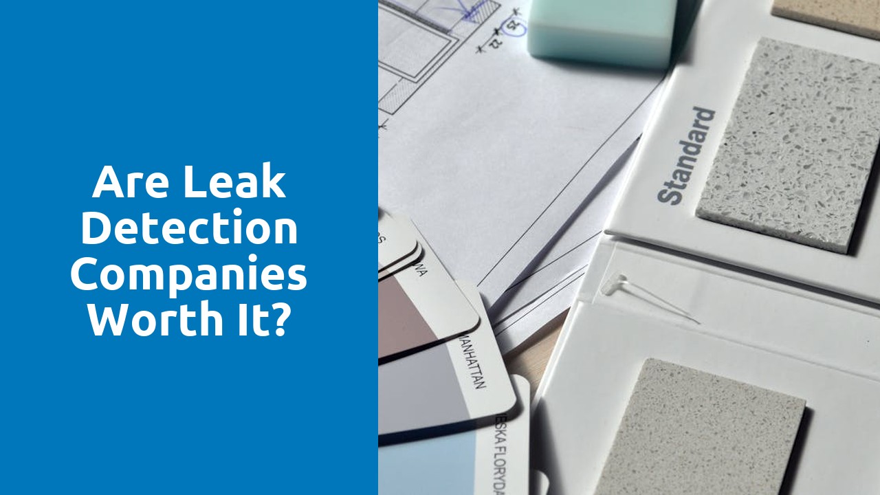 Are leak detection companies worth it?
