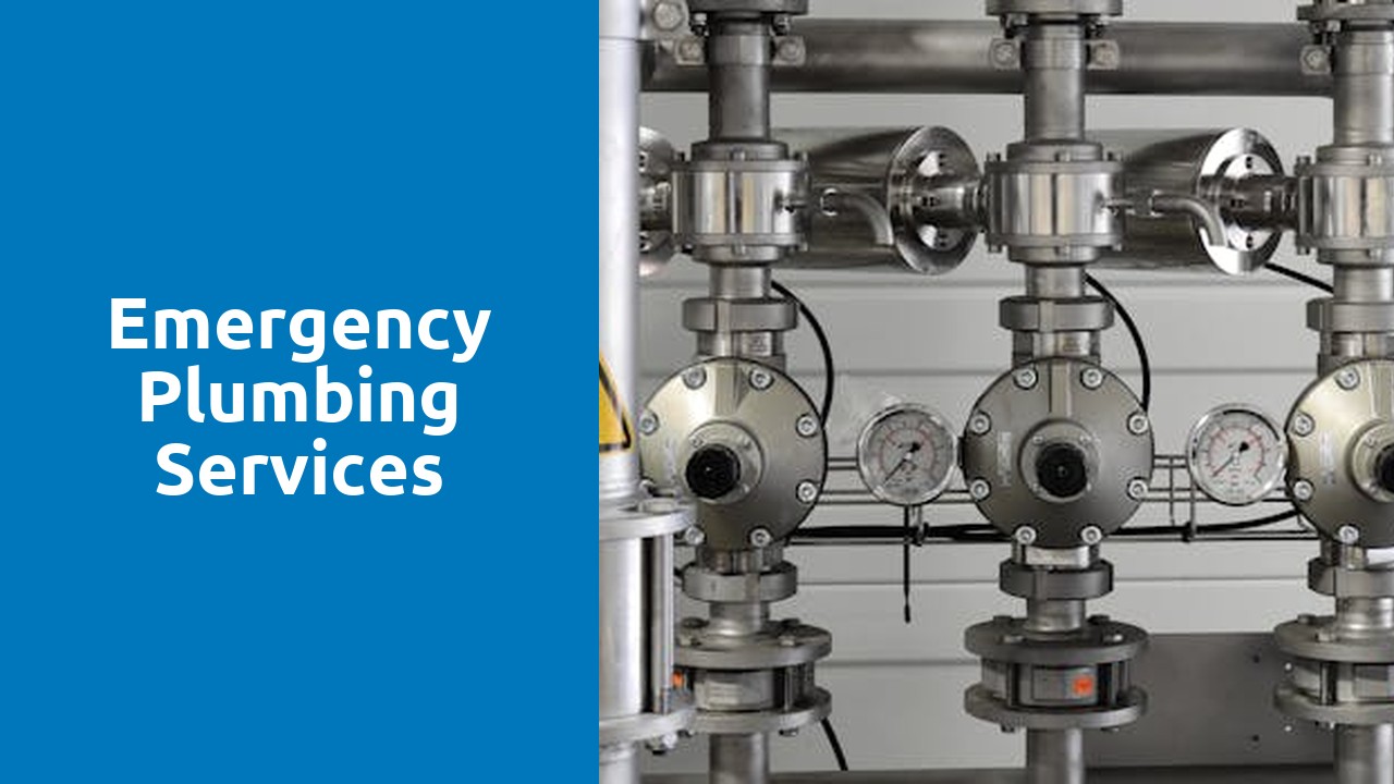 Emergency Plumbing Services