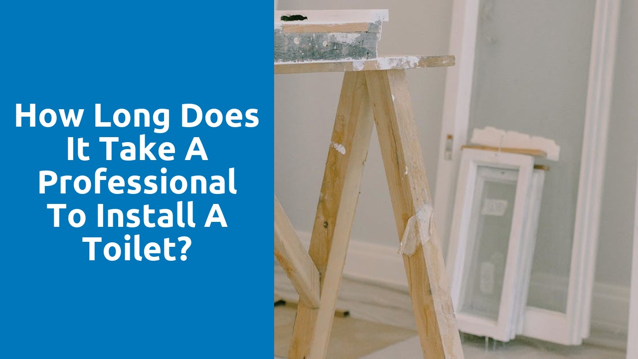 How long does it take a professional to install a toilet?