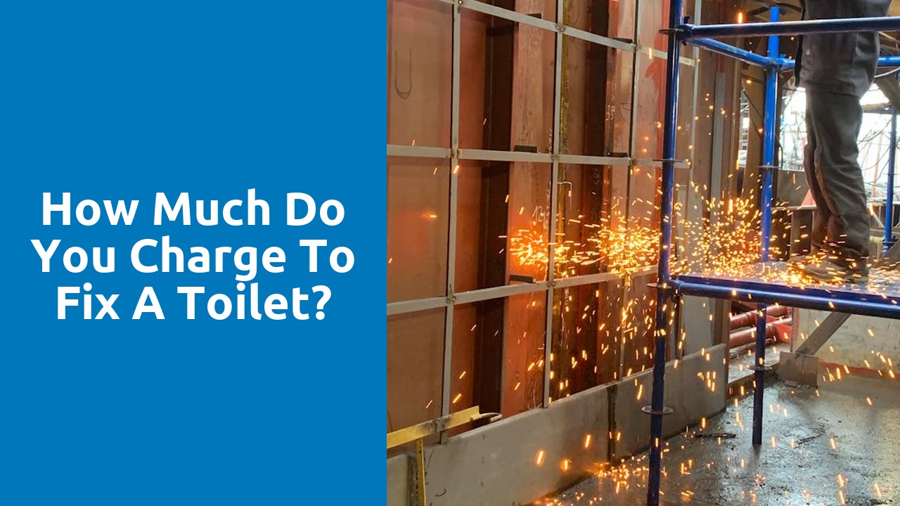 How much do you charge to fix a toilet?