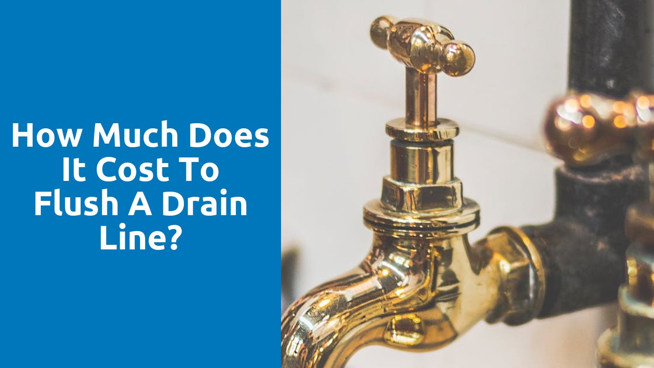 How much does it cost to flush a drain line?