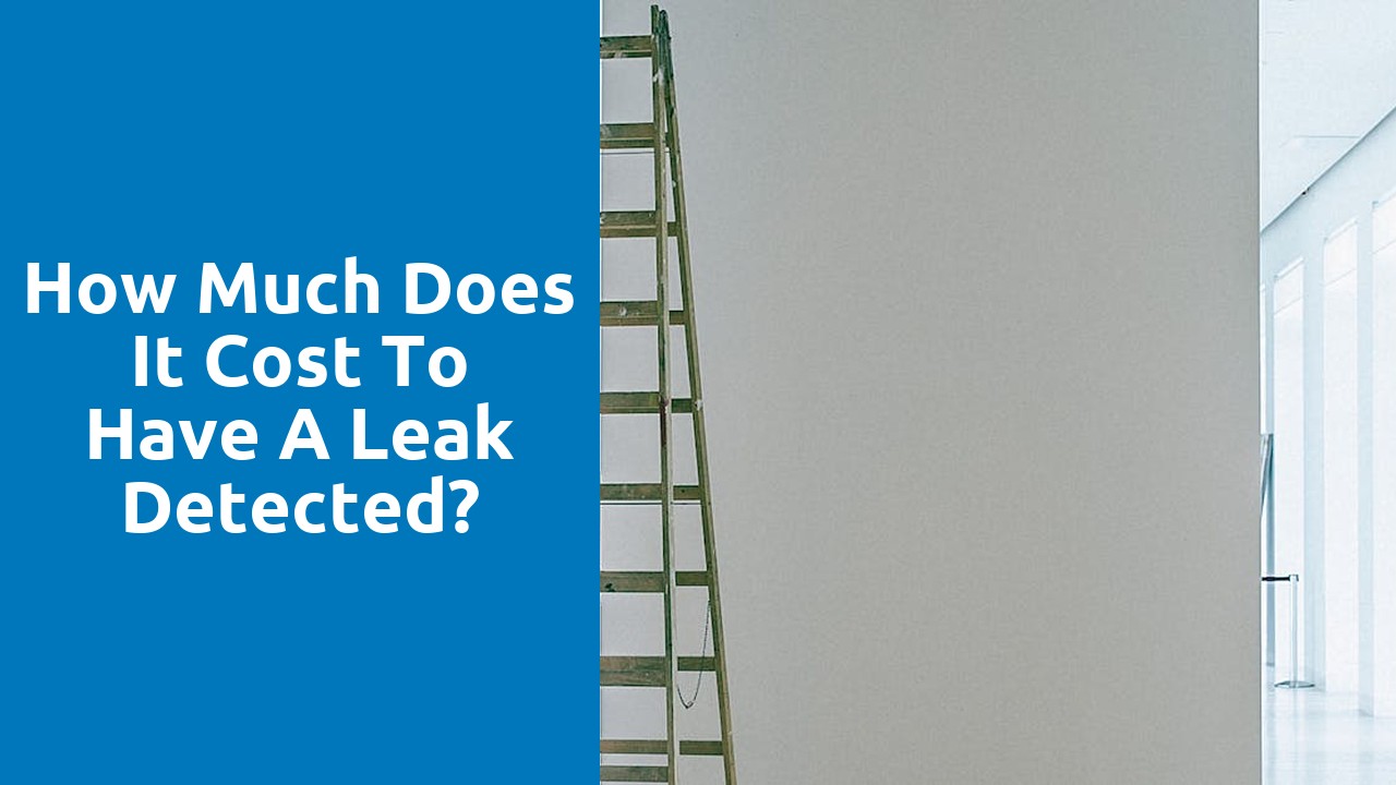 How much does it cost to have a leak detected?
