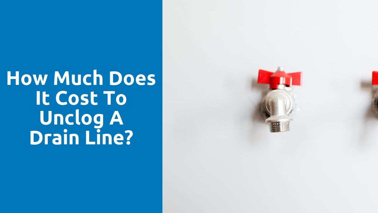 How much does it cost to unclog a drain line?