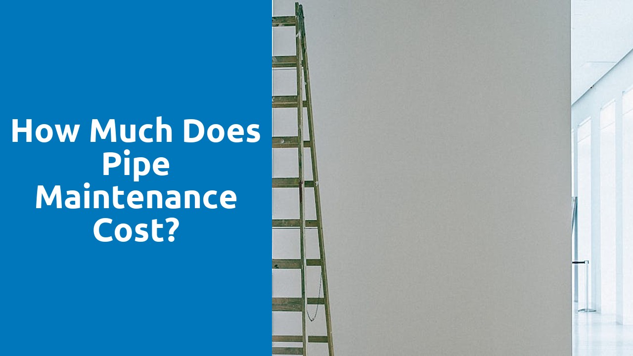 How much does pipe maintenance cost?