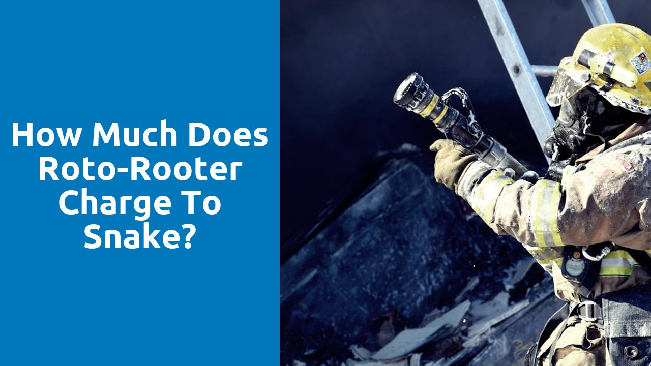 How much does Roto-Rooter charge to snake?