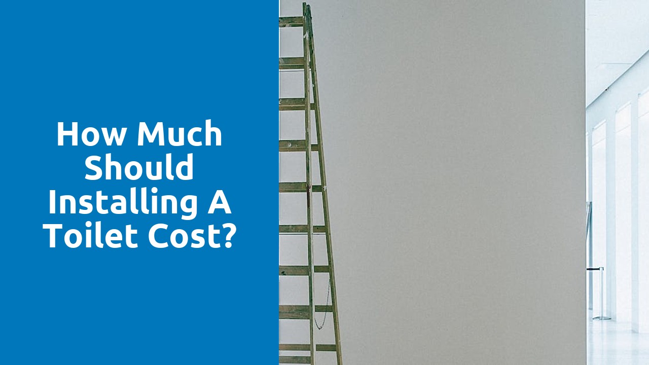 How much should installing a toilet cost?
