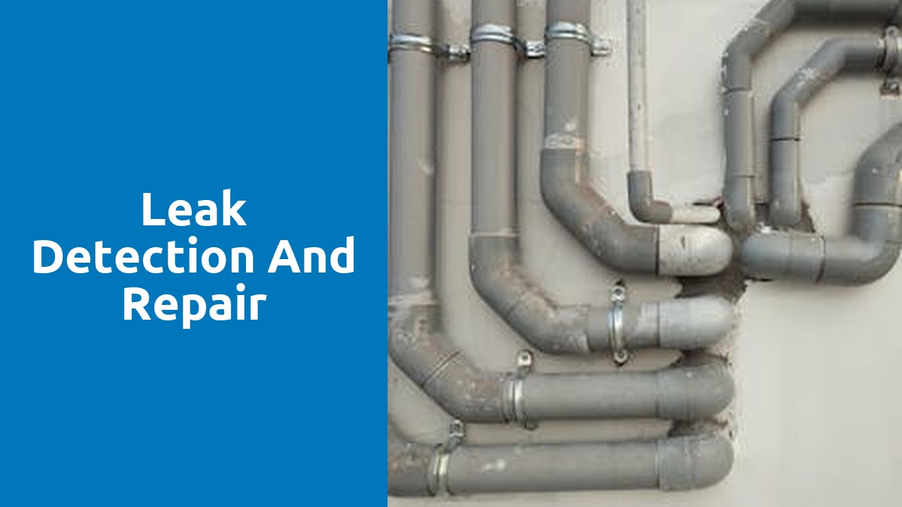 Leak detection and repair