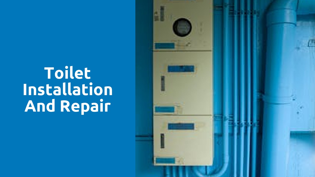 Toilet installation and repair