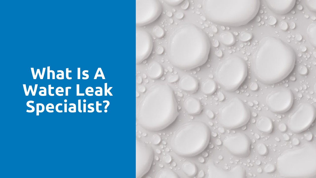 What is a water leak specialist?