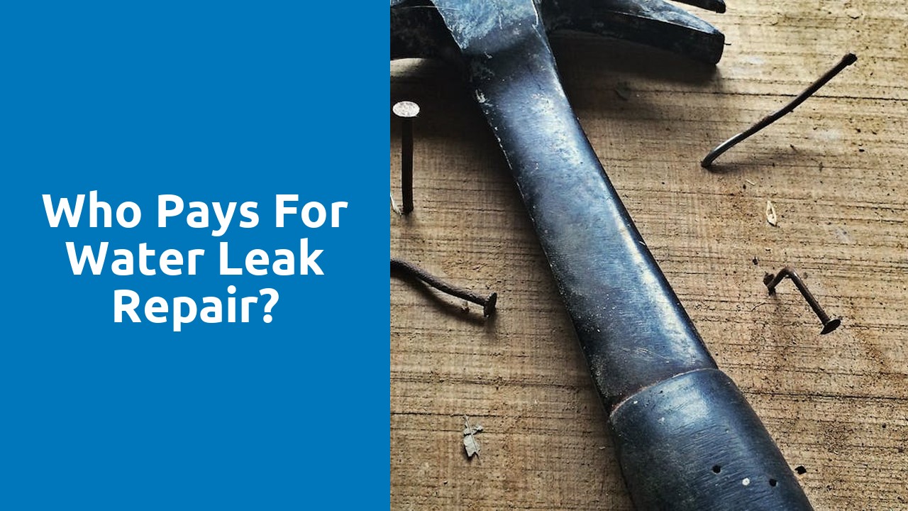 Who pays for water leak repair?