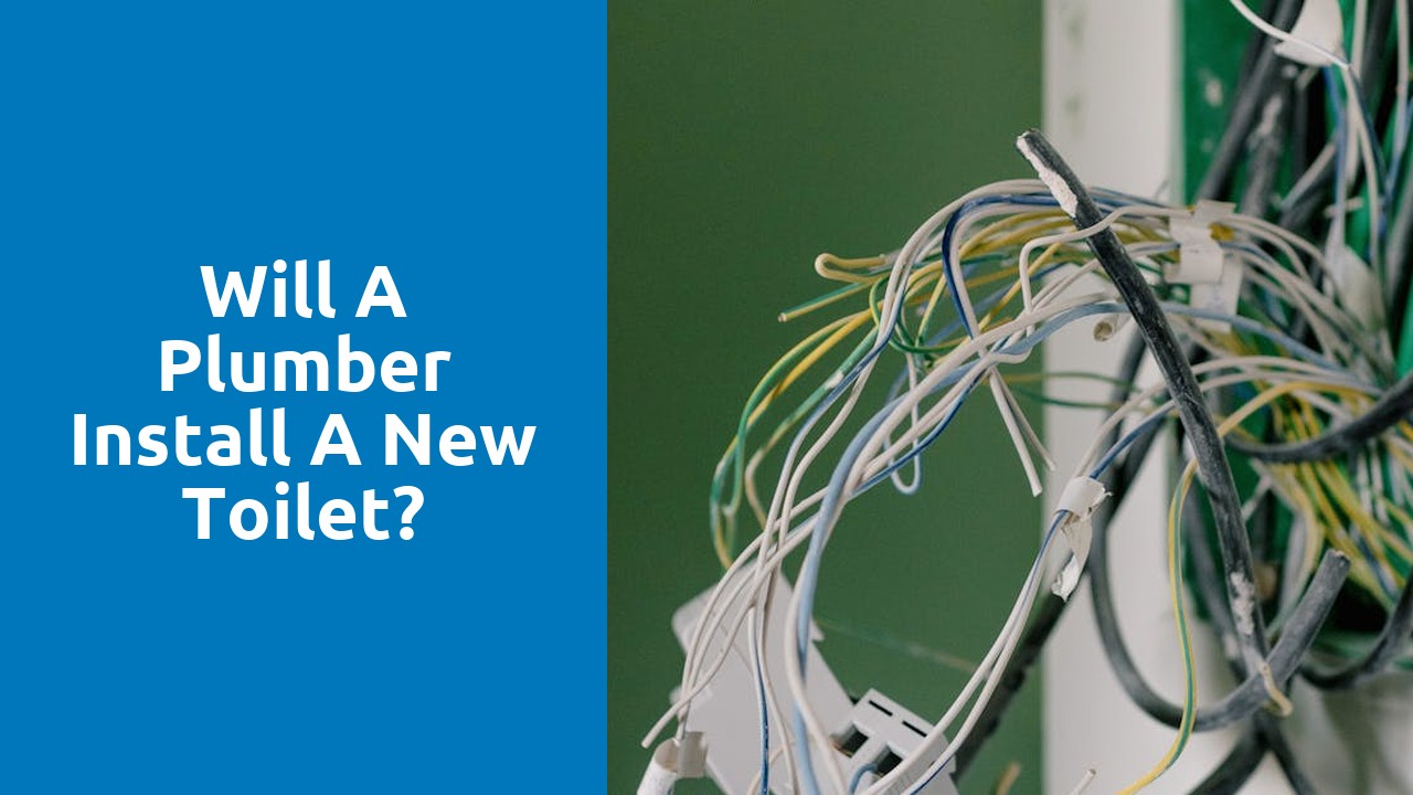 Will a plumber install a new toilet?