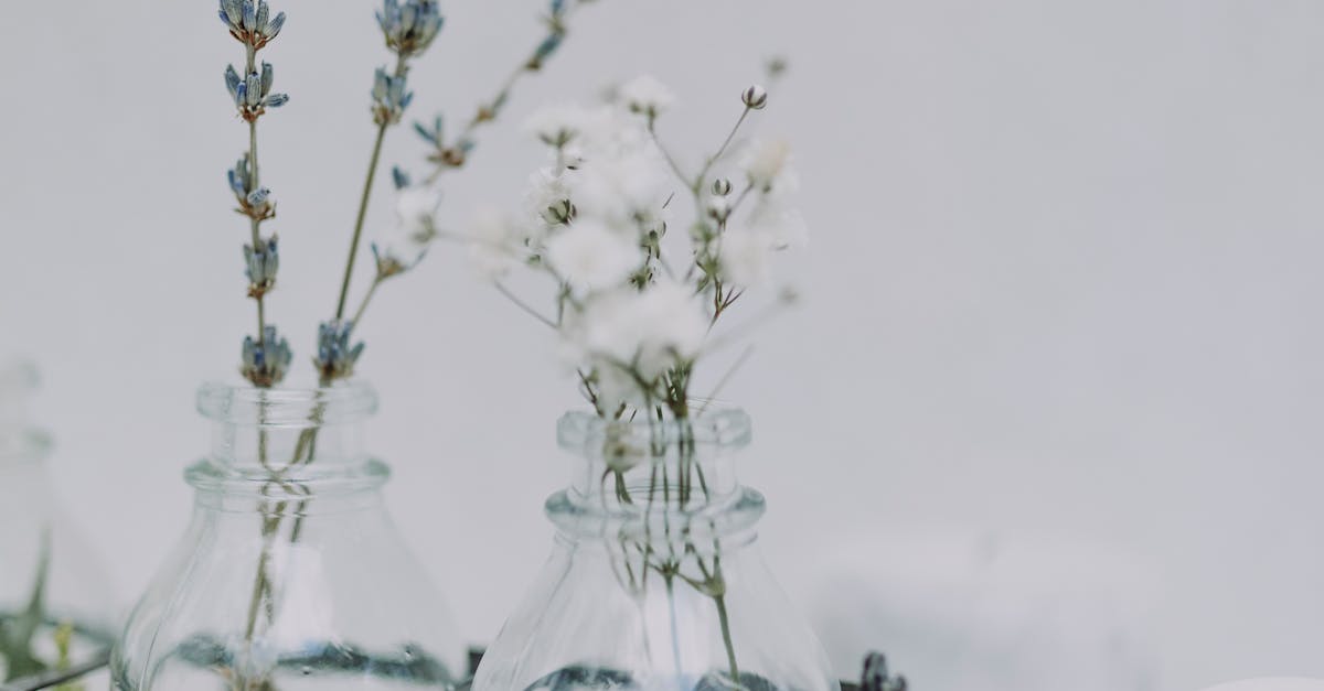 Review of the Top Couples Massage Therapies in Portland, Maine