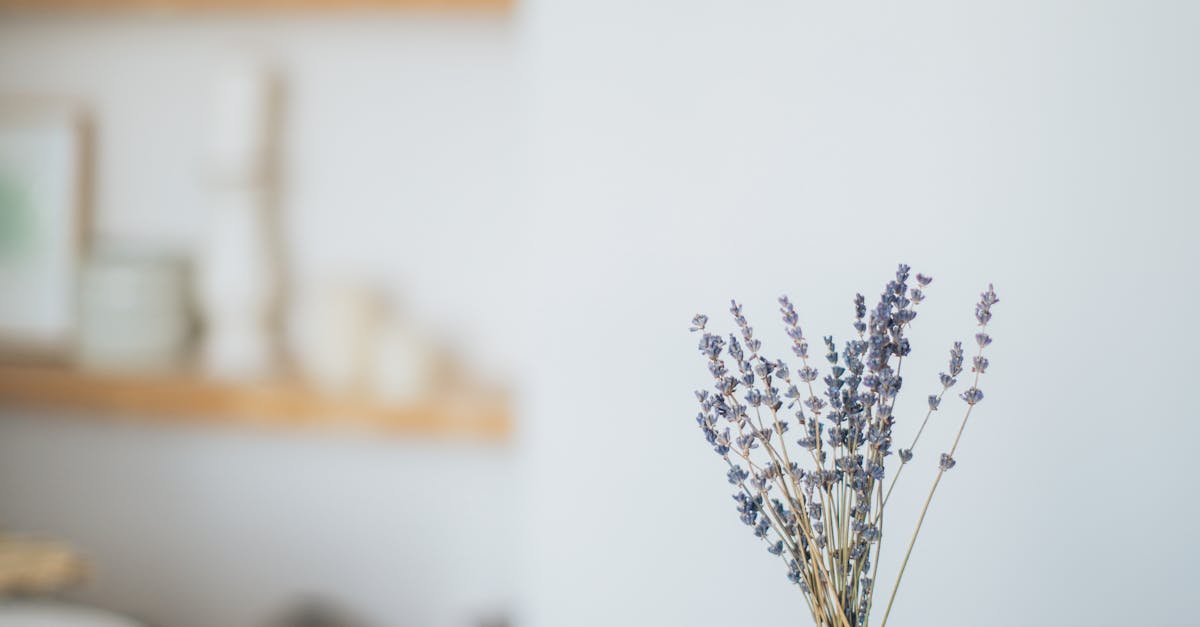 The Benefits of Couples Massage: Why You Should Try It