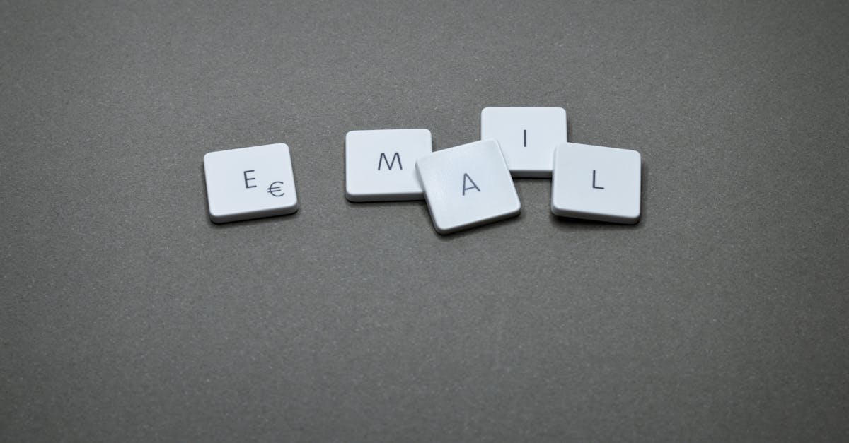 What are the four types of email marketing?