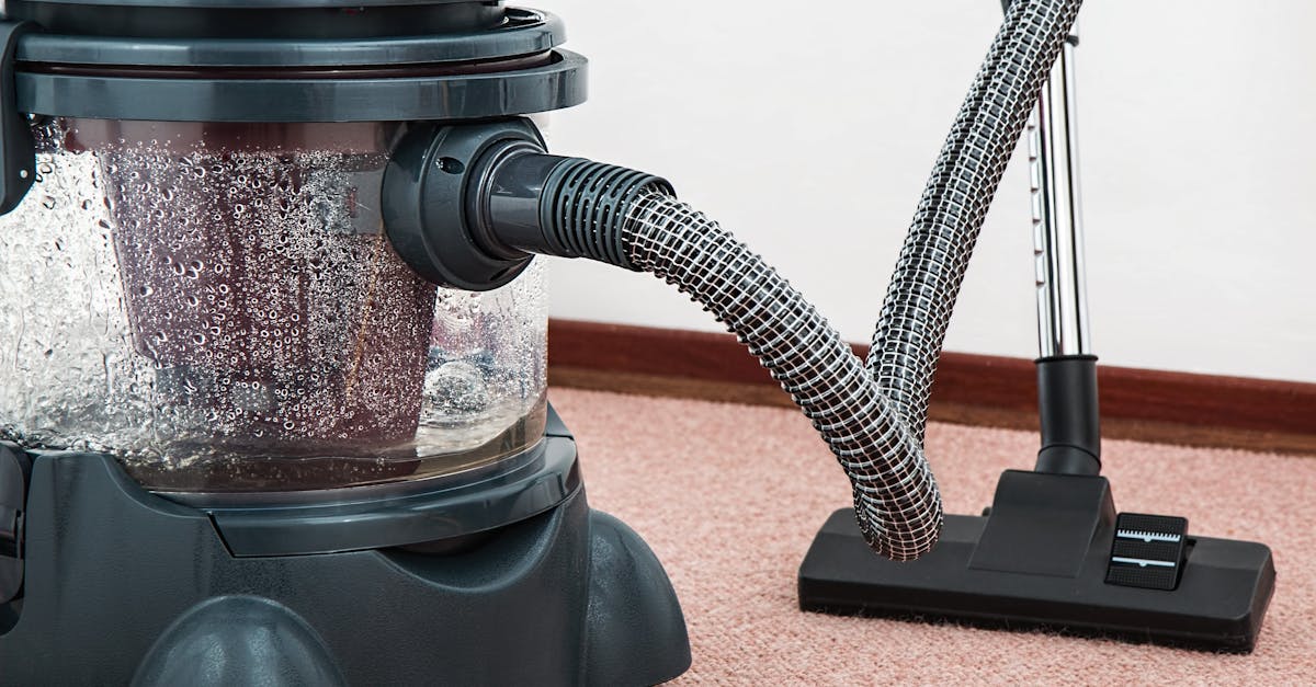 What is the best thing to spot clean carpet with?