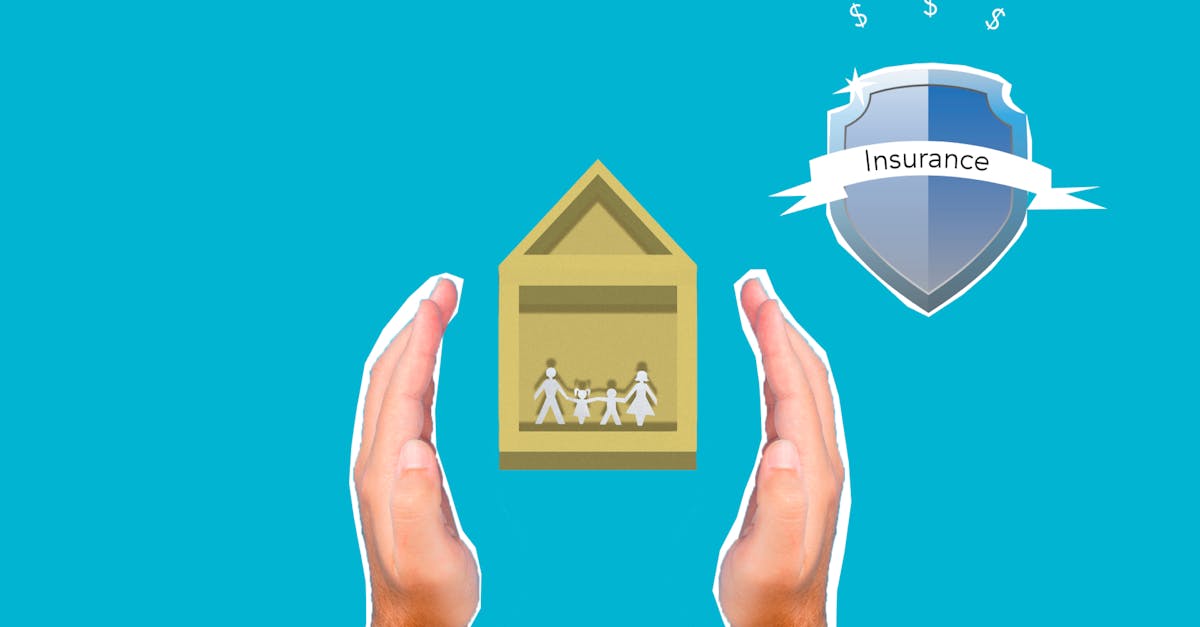 Can I do my own title search in Texas?