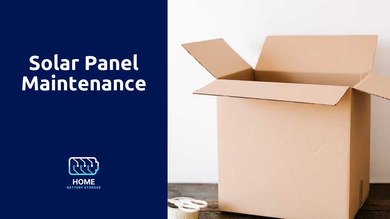 Solar Panel Maintenance