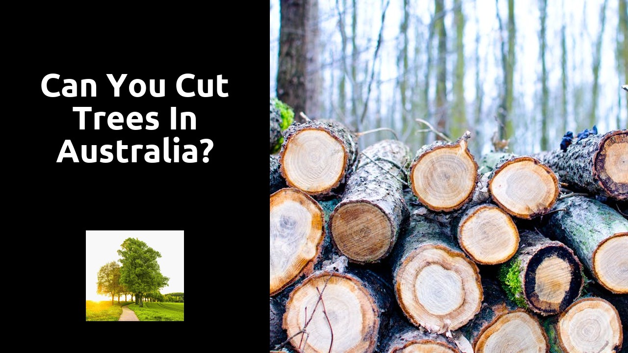 Can you cut trees in Australia?