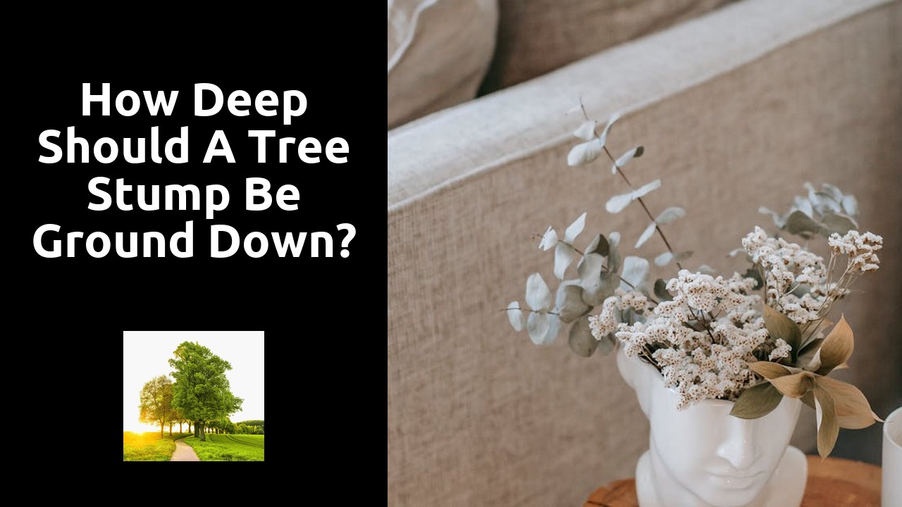 How deep should a tree stump be ground down?