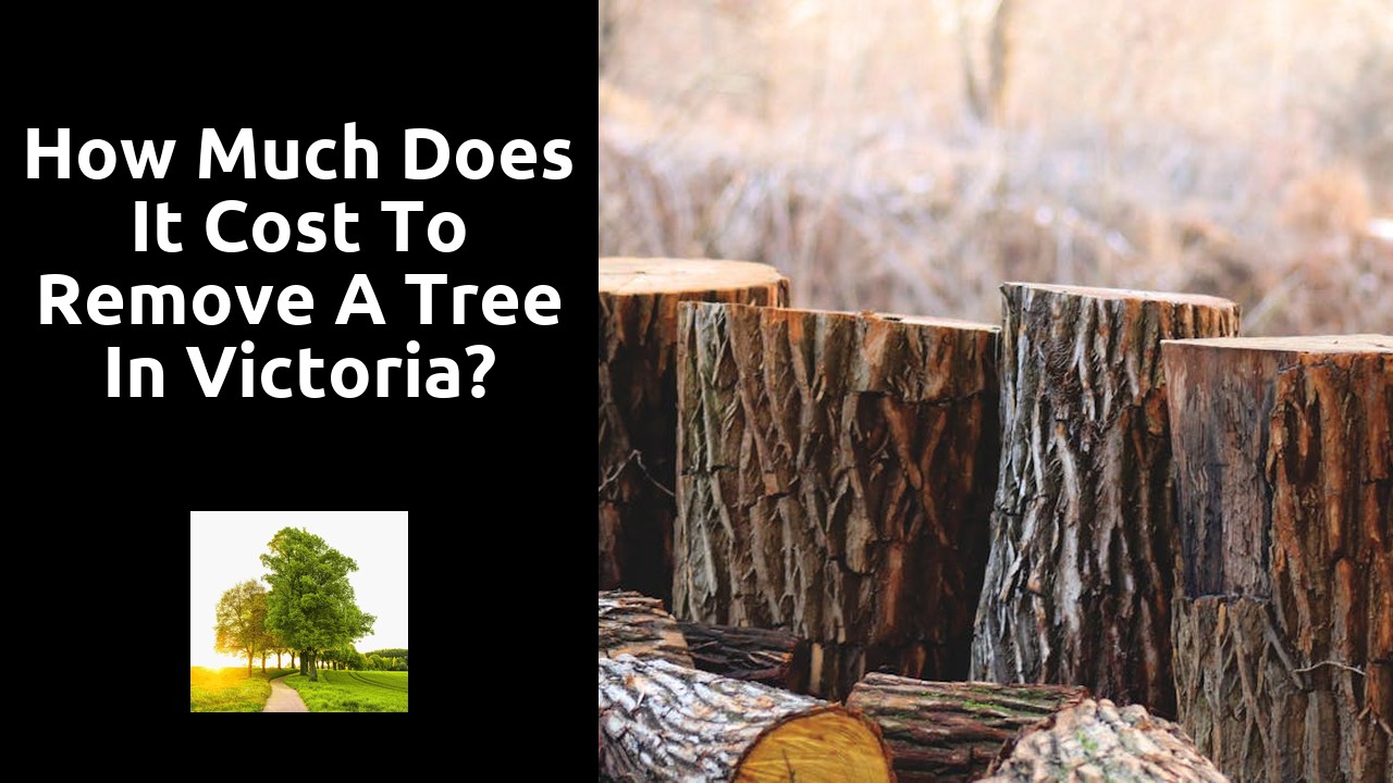 How much does it cost to remove a tree in Victoria?