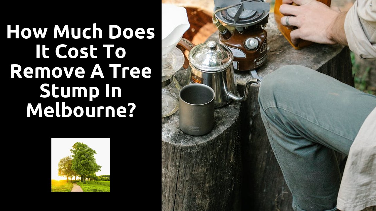 How much does it cost to remove a tree stump in Melbourne?