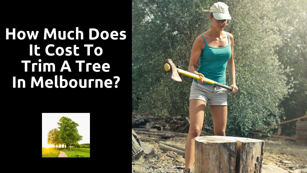 How much does it cost to trim a tree in Melbourne?