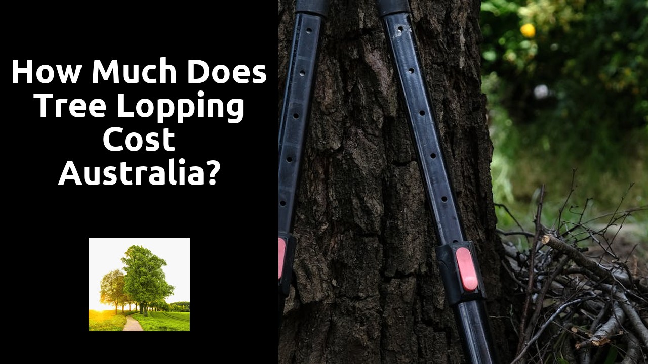 How much does tree lopping cost Australia?