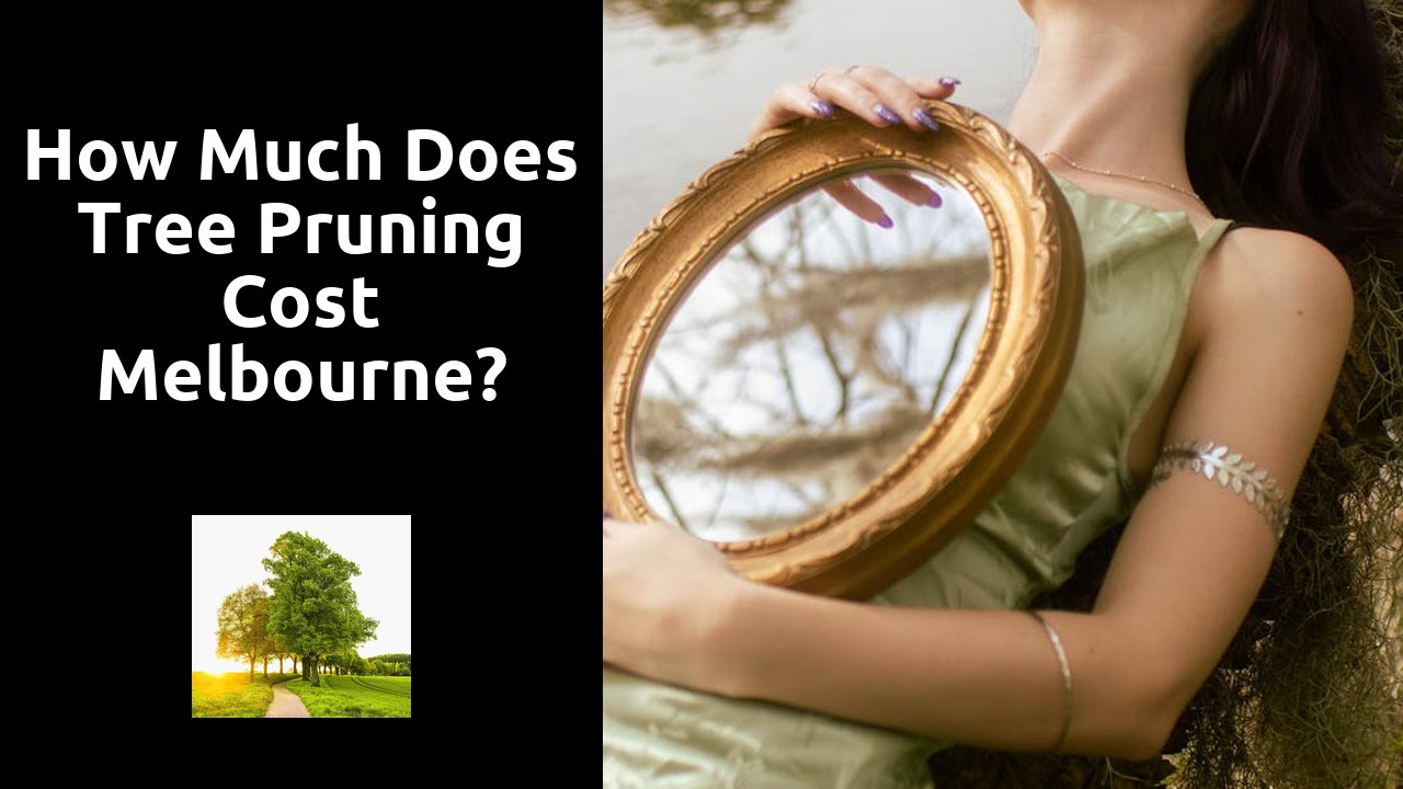 How much does tree pruning cost Melbourne?