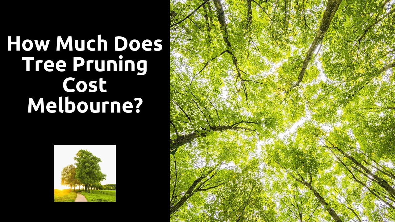 How much does tree pruning cost Melbourne?