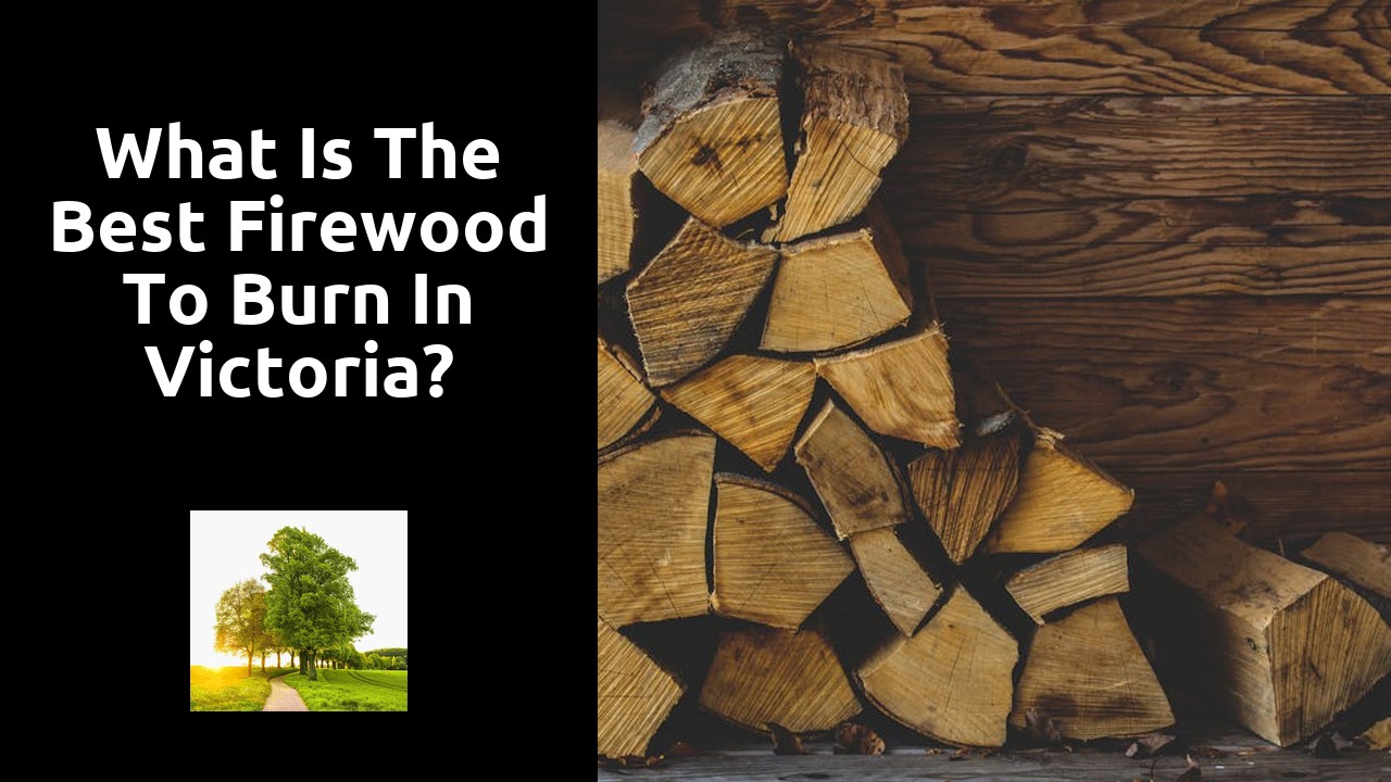 What is the best firewood to burn in Victoria?