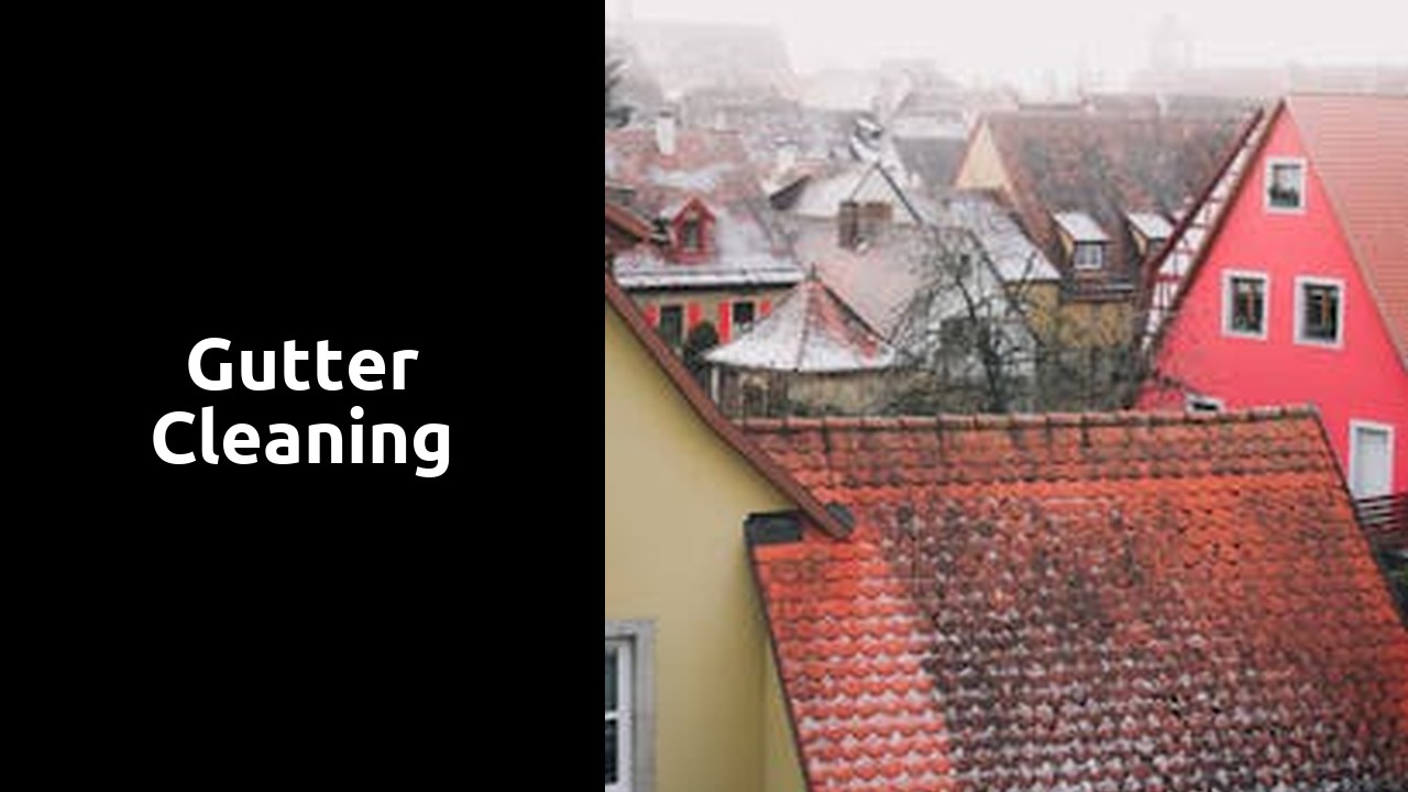 Gutter cleaning