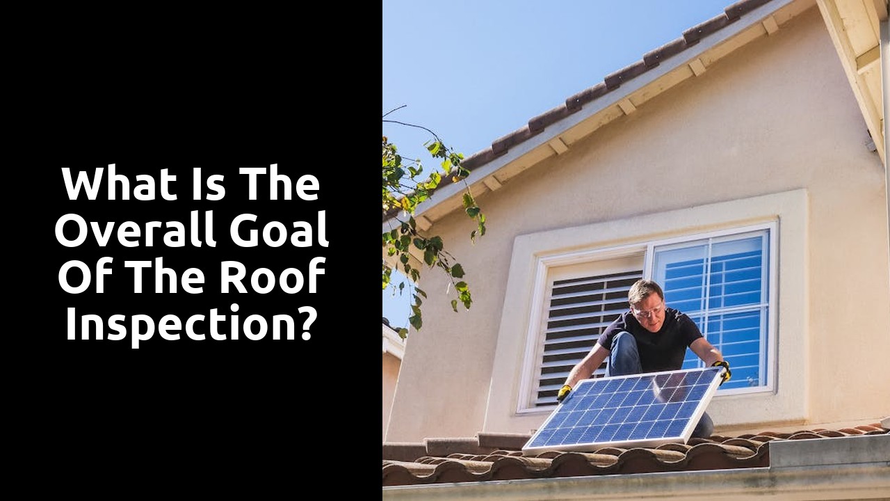 What is the overall goal of the roof inspection?