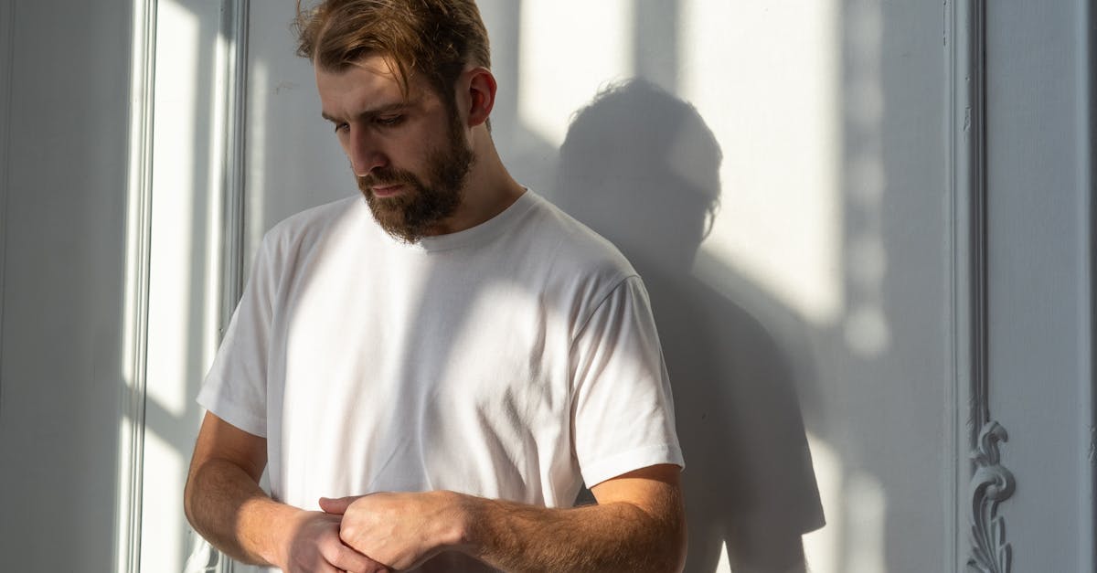 Can you do web development with IT degree?