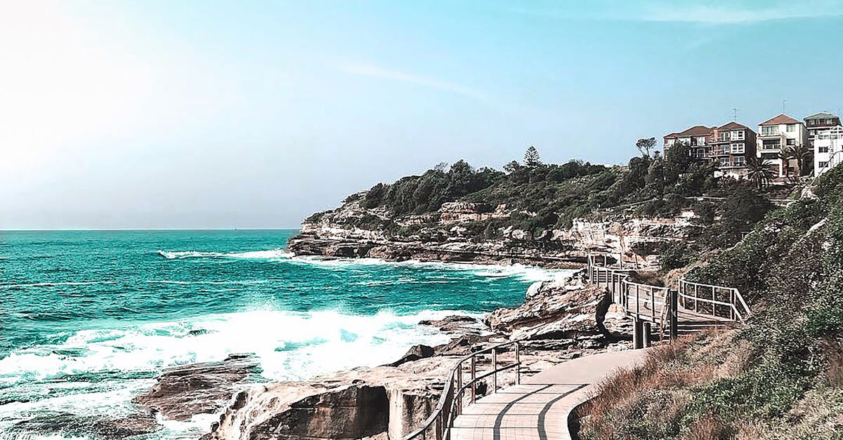 How to dominate local SEO?