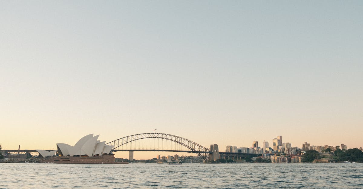 What is online reputation management?