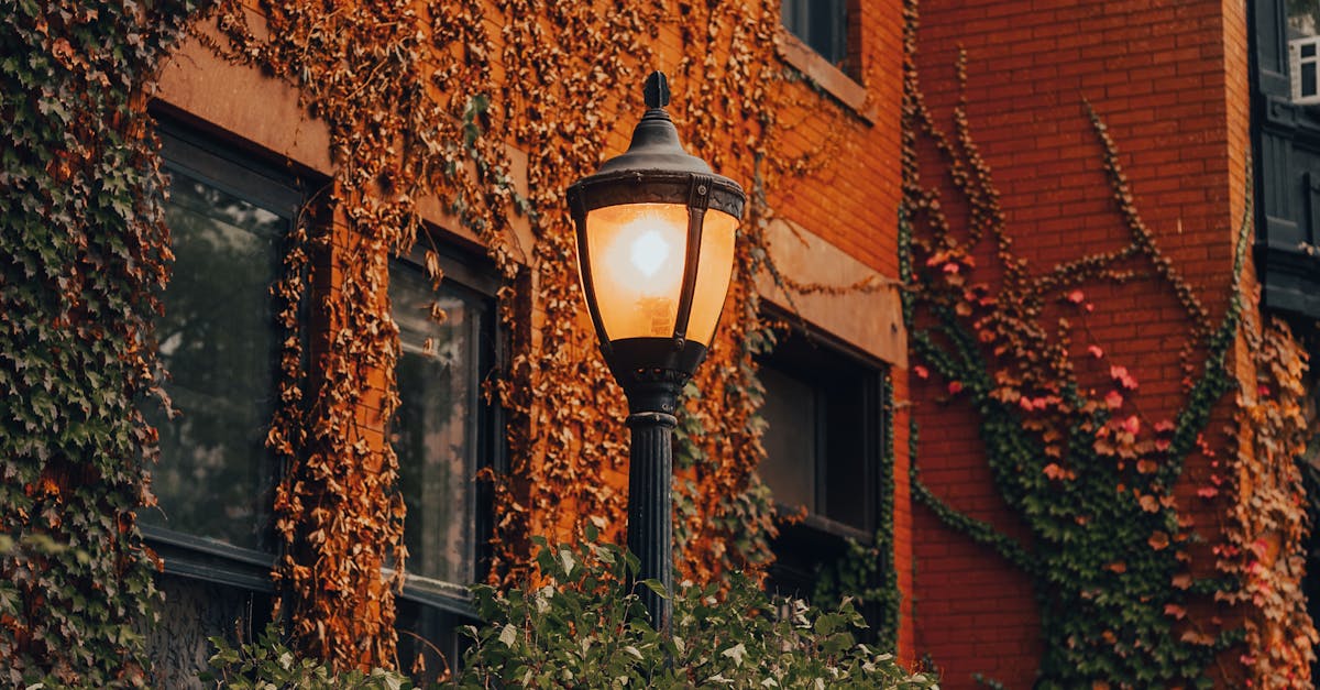 Do I need a website for local SEO?