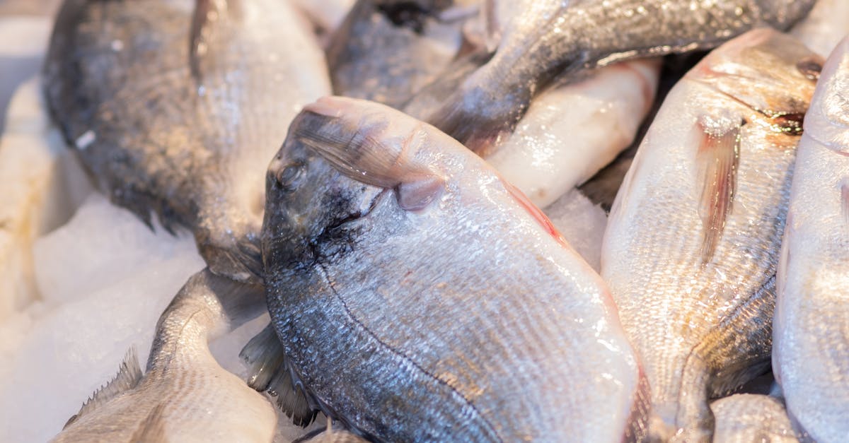 How much does it cost to advertise on Facebook in Australia?