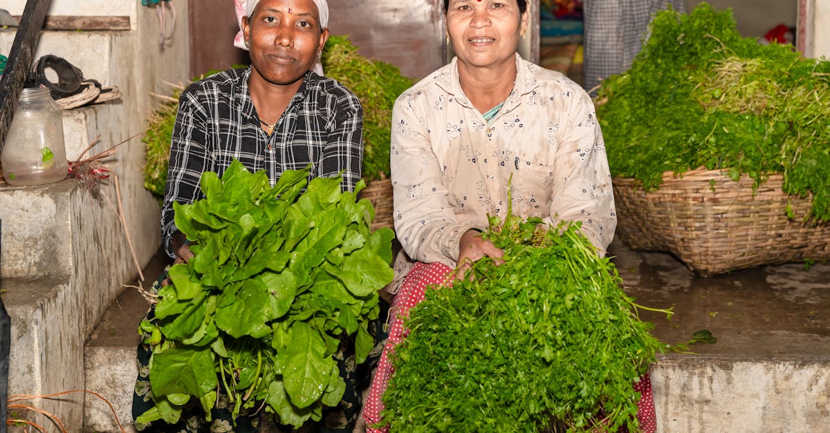 The Relationship Between Local SEO and Mobile Searches  