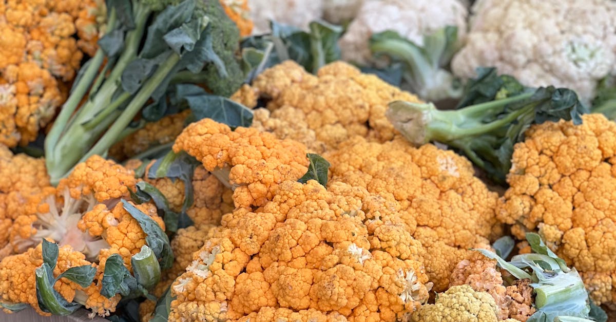 The Role of Google My Business in Local SEO  