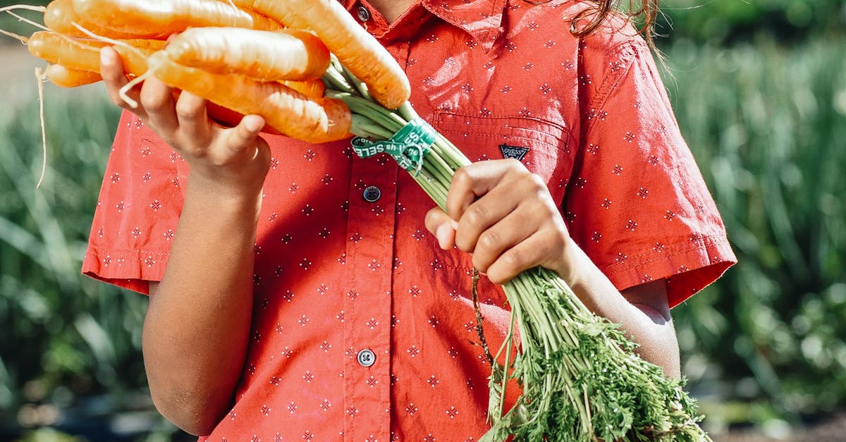 Using Videos to Enhance Local SEO  