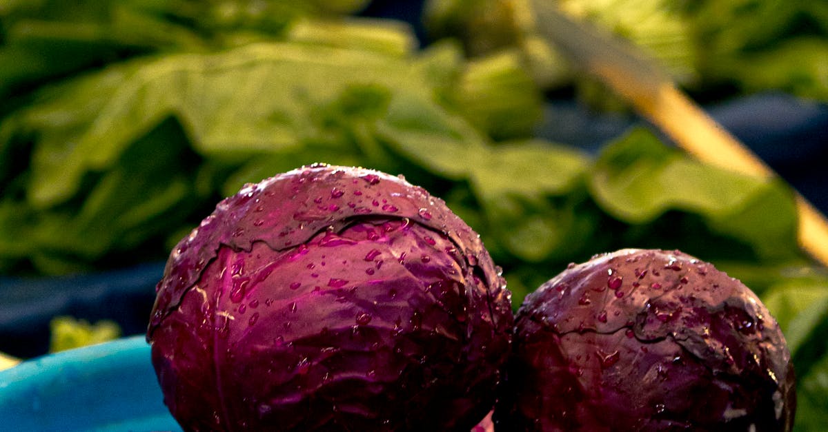 Why is SEO so expensive?