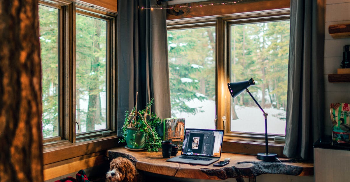 How can I clean my carpet at home?