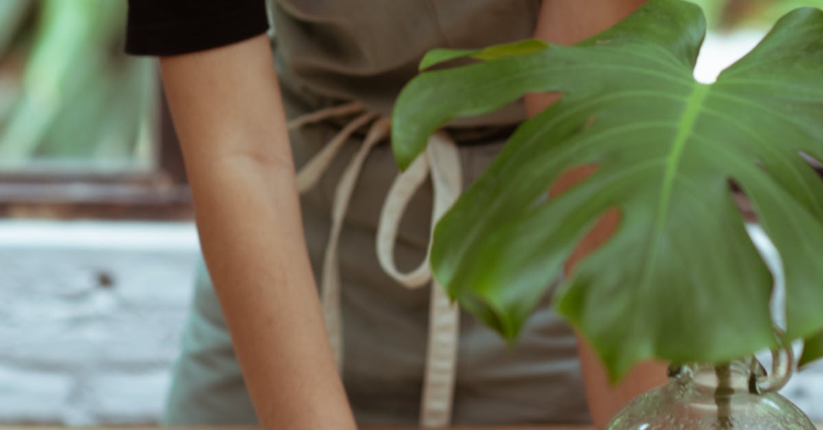 What is green cleaning method?