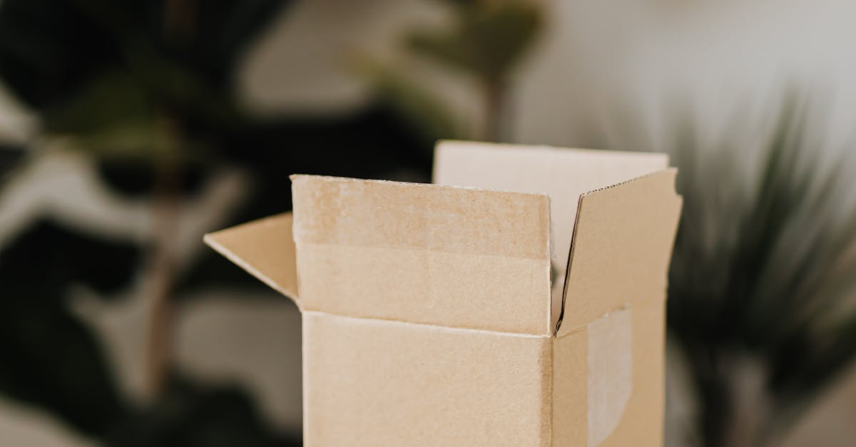 How much does a declutterer cost?