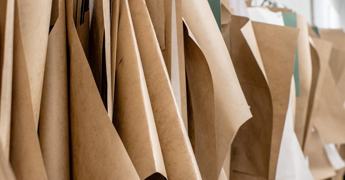 How much should a professional organizer charge?