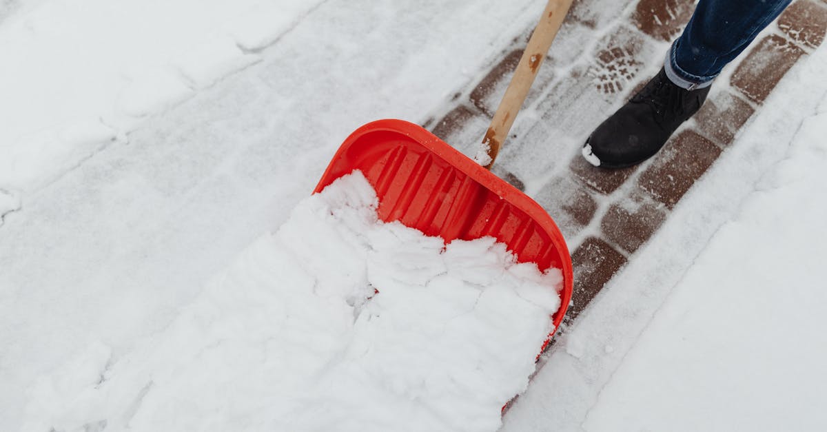 Is shoveling a real word?