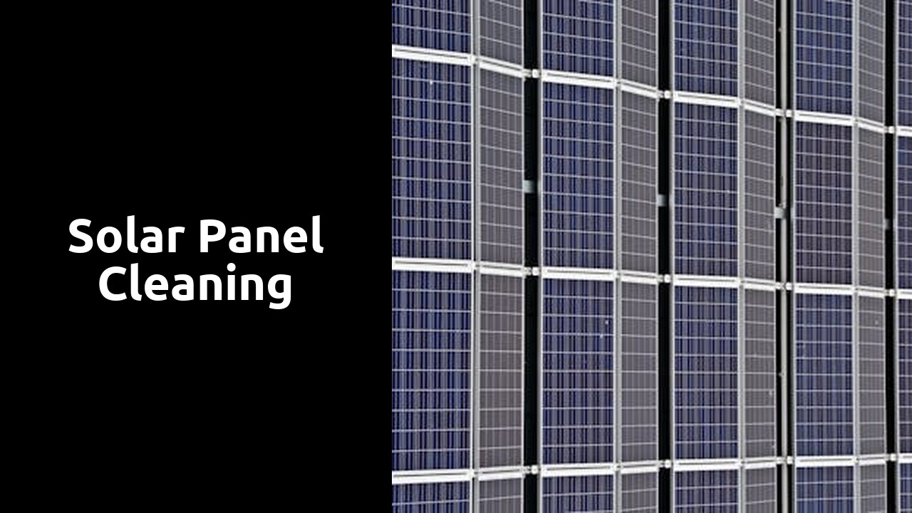 Solar Panel Cleaning