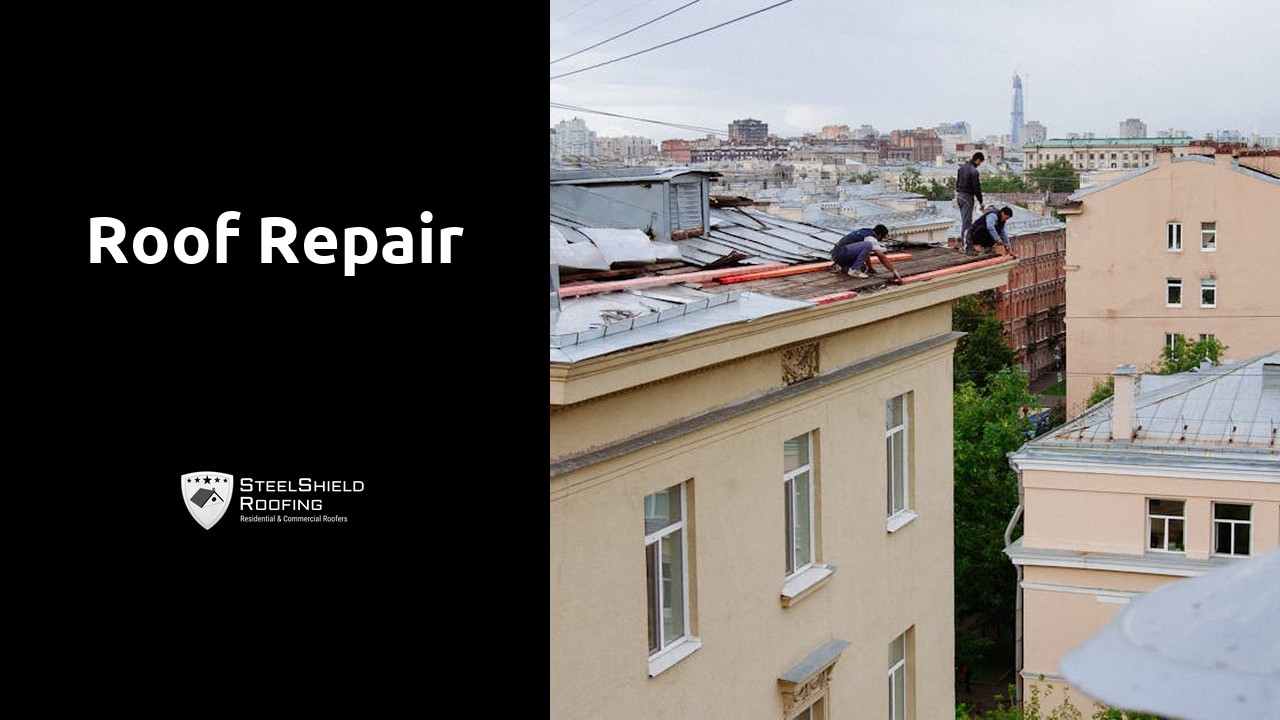 Roof repair