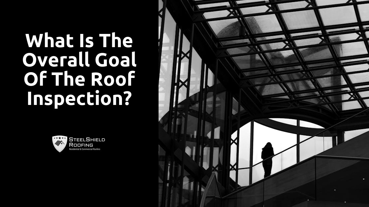 What is the overall goal of the roof inspection?